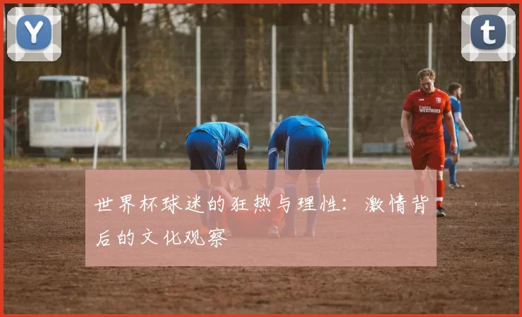 世界杯球迷的狂热与理性：激情背后的文化观察