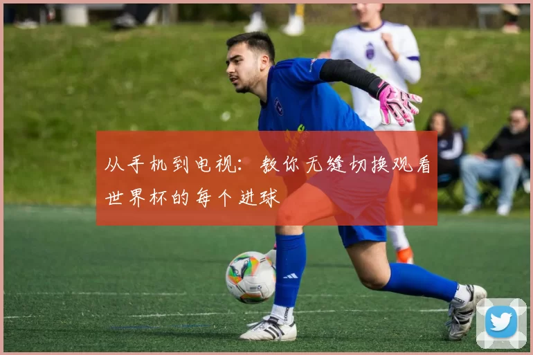 从手机到电视：教你无缝切换观看世界杯的每个进球