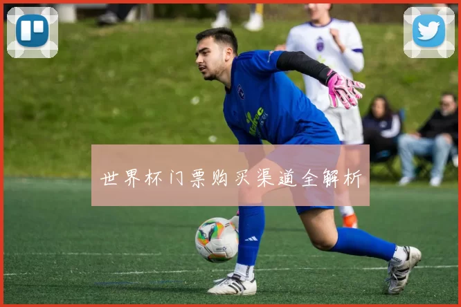 世界杯门票购买渠道全解析