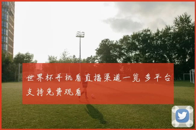 世界杯手机看直播渠道一览 多平台支持免费观看