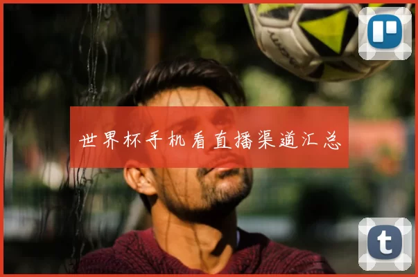 世界杯手机看直播渠道汇总