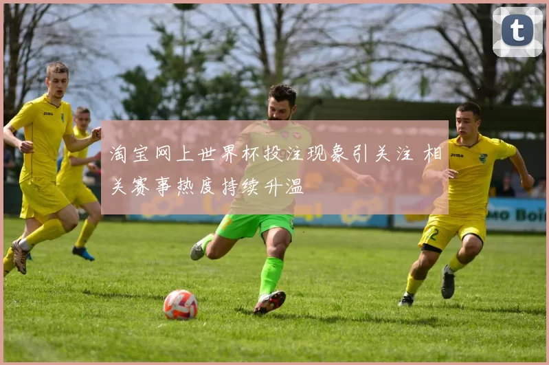 淘宝网上世界杯投注现象引关注 相关赛事热度持续升温