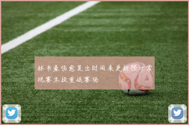 林书豪伤愈复出时间表更新预计常规赛末段重返赛场