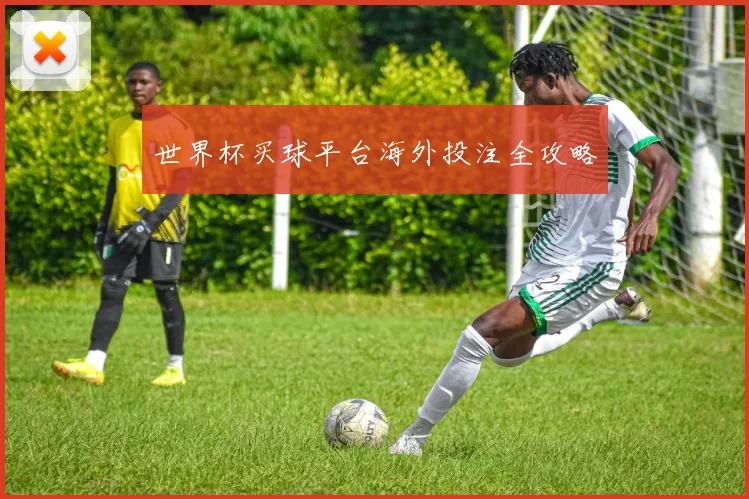 世界杯买球平台海外投注全攻略