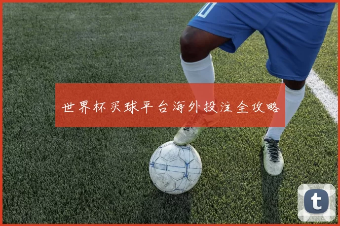 世界杯买球平台海外投注全攻略