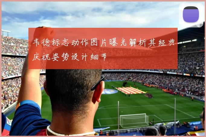 韦德标志动作图片曝光解析其经典庆祝姿势设计细节