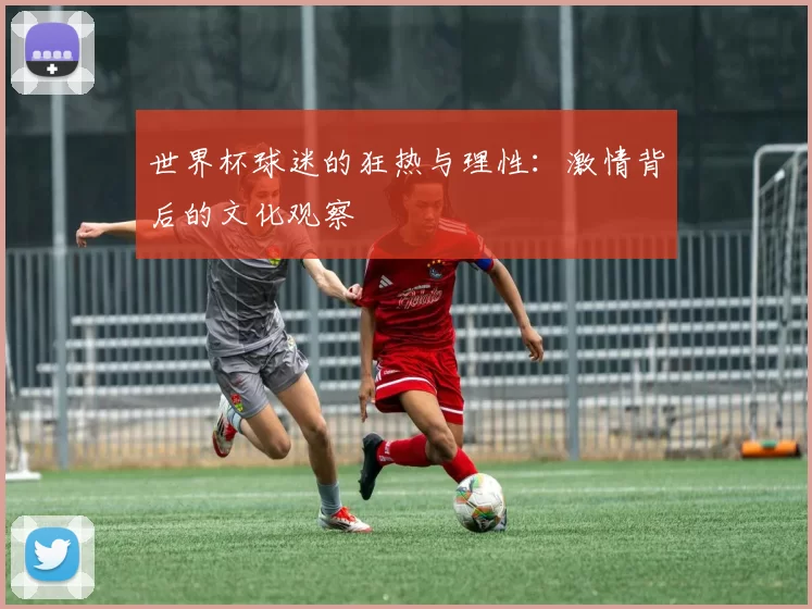 世界杯球迷的狂热与理性:激情背后的文化观察