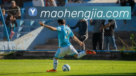 开云平台生态图